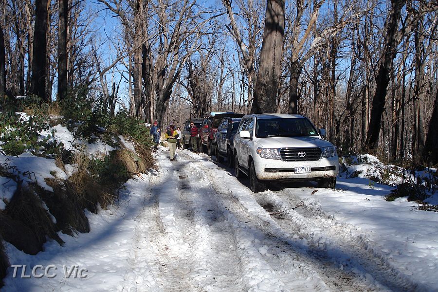 16-Morning Tea Break on McFadyen Track.jpg